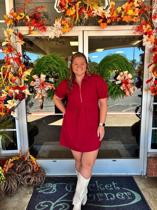 Wine Front Zip Darts Short Sleeve Dress