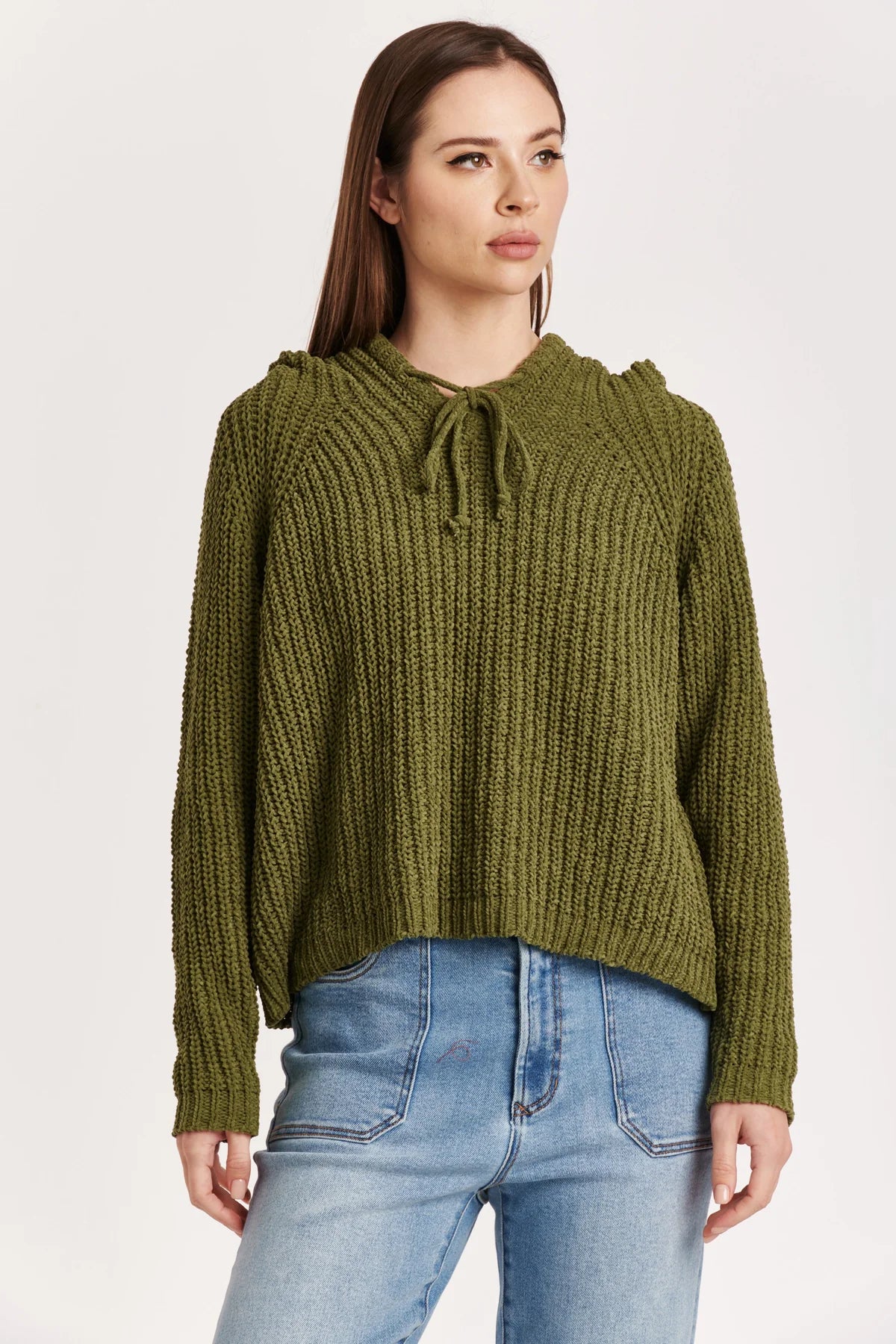 EDEN Olive Hooded Pullover Sweater