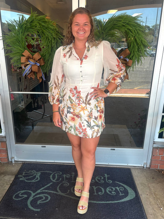 Wild Bloom Cream Floral A-line Dress