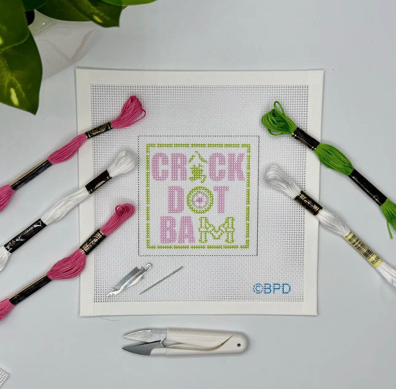 Crack Dot Bam Needlepoint kit