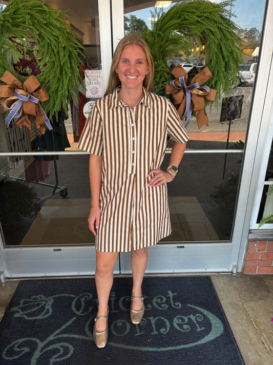 Brown Stripe poplin shirt dress