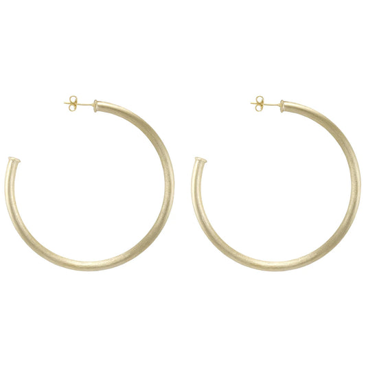 Everybody's Favorite 2.5" Polished Hoop